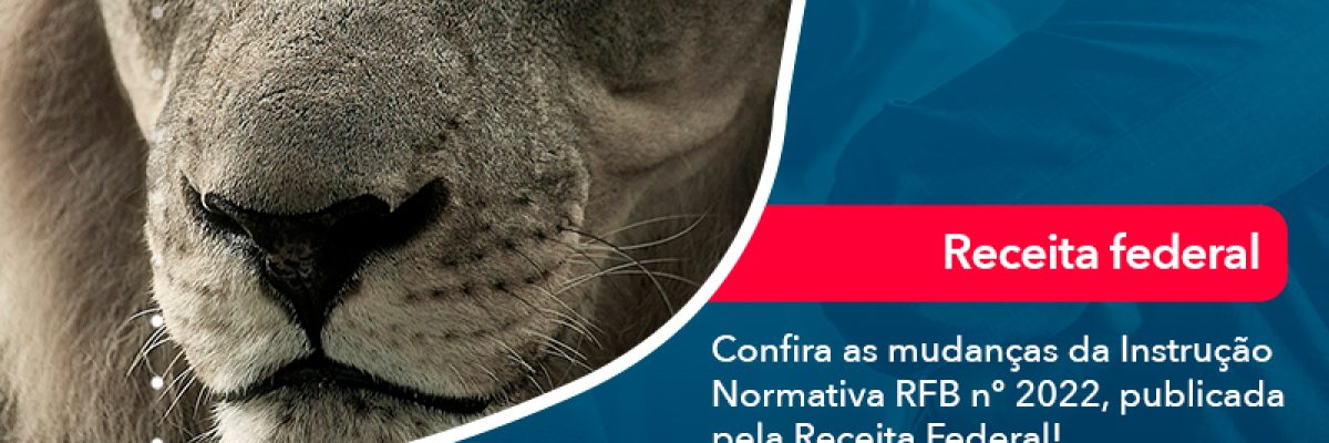 Confira As Mudancas Da Instrucao Normativa Rfb N 2022 Publicada Pela Receita Federal Abrir Empresa Simples - Escritorial Contábil