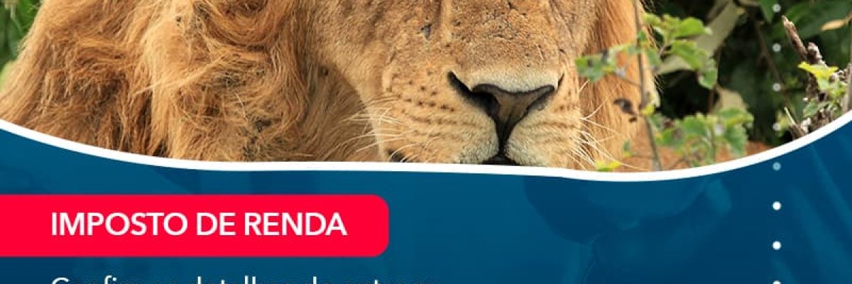 Confira Os Detalhes Da Entrega Da Declaracao Do Irpf 2021 E O Que Voce Precisa Saber Sobre (1) Abrir Empresa Simples - Escritorial Contábil