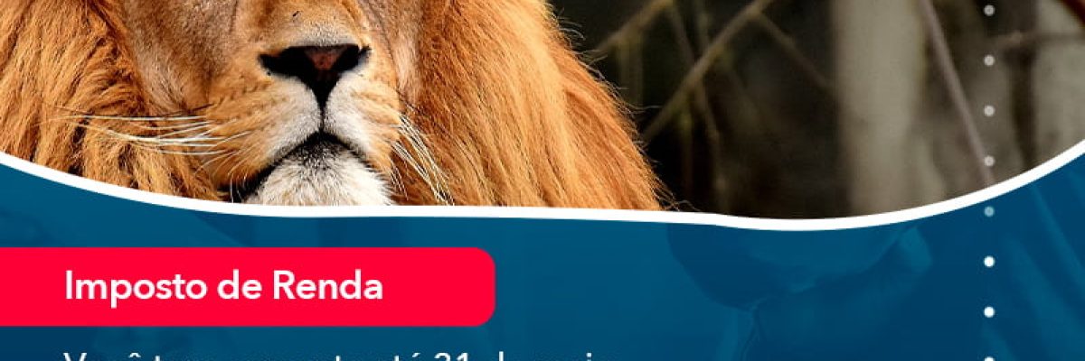 Voce Tem Somente Ate 31 De Maio Para Entrega Da Declaracao De Ir Saiba Como Nao Cair Na Malha Fina (1) Abrir Empresa Simples - Escritorial Contábil